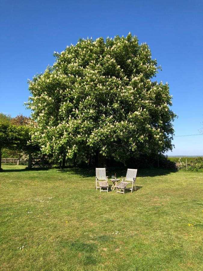 Bed and Breakfast The Old School, Idbury, Ox7 6Ru Chipping Norton Zewnętrze zdjęcie